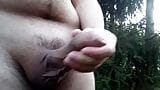 Uncut cock flashing and cumming outdoor snapshot 8