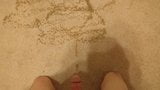 Pissing on my bedroom carpet snapshot 10