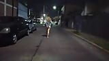 공공 장소에서의 섹스는 경찰이 정액이 떨어지는 것을 포착하고 관음증은 거리에서 섹스하는 것을 지켜봐 snapshot 1