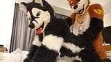 play fursuit with friend snapshot 2