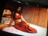 Kom klaar op Shanti Mallu -actrice snapshot 9