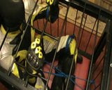 Yellow and black - the bikerslave is in the cage snapshot 5