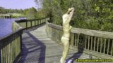 Flashing Pussy and Getting Completely Naked in Public snapshot 15