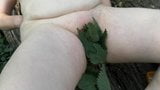 Nettles and Clamps on Pusy in Public snapshot 9