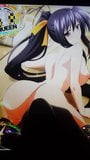 Akeno himejima kommt mit Tribut Sop # 51 snapshot 4