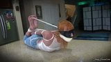 Summer Marshall Strict Hogtie snapshot 3