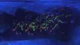 nXkkX UV Painting Glowing Big Tits snapshot 2