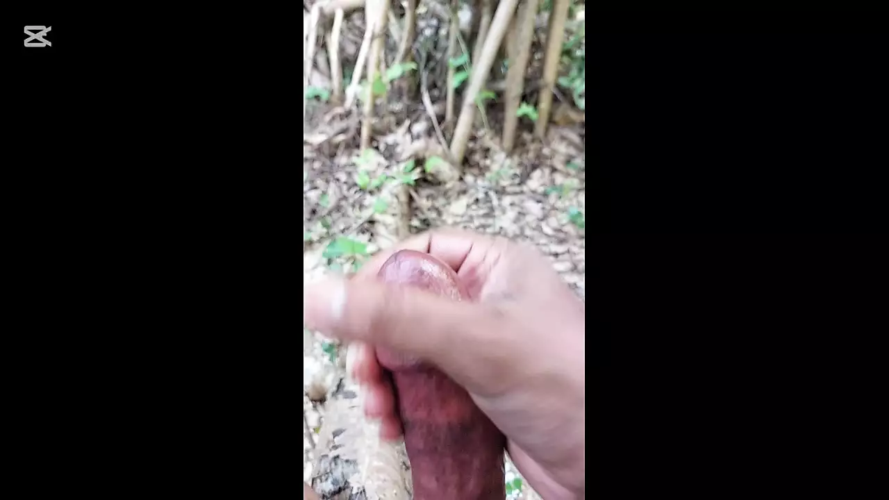 Masturbating Ninja