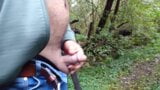 Chubbear Cumshot im Freien, spielen nach der Rasur, Naturgebiet, allein snapshot 7