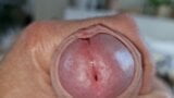 Play with crowned Glans, Foreskin and pubes – close-up uncut cock cumming snapshot 9
