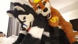 play fursuit with friend snapshot 11