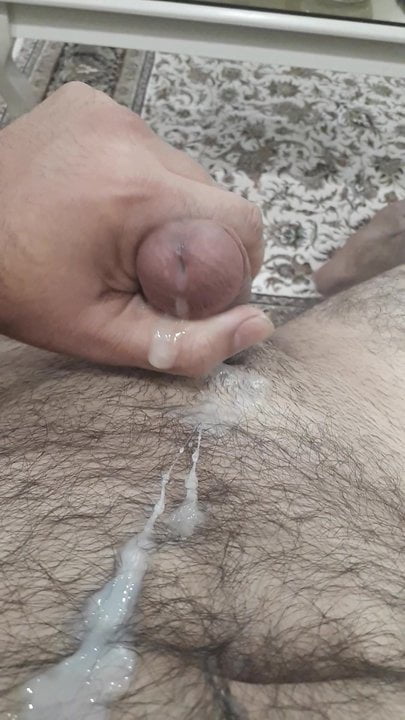 بیوفت روش که آماده است برو توت