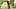 Бразильскую тинку с крошечными сиськами хардкорно трахают