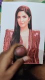 Katrina Kaif cum tribute #5 snapshot 6