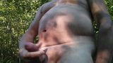 my wife love to film me outside and give a very big load!! snapshot 3