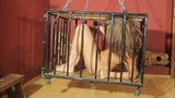 Luna torturée dans une cage, partie 1 snapshot 8