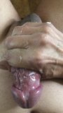 Closeup lotta precum and cum snapshot 7