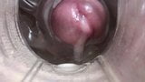 Fleshlight rapidito 3 snapshot 8