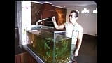 TV 1102 - BELLISSIMI TRANS (Volledige film) snapshot 1