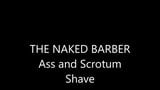 Ass and scrotum shave snapshot 1