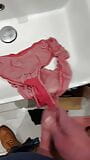 Pantie wank snapshot 1