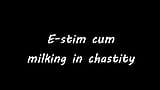 E-stim cum milking in chastity snapshot 1
