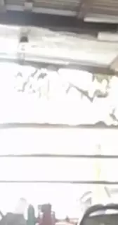 Pembantu Warung: Asian Asian Porn | xHamster
