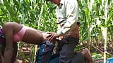 Pertengkaran jagung hutan desa waria India - film desi dalam bahasa india snapshot 14