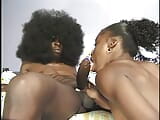 Adolescente le encanta montar una gran polla negra snapshot 7