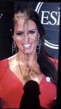 Stephanie mcmahon 大奶子暨致敬 #1 - 5 snapshot 5