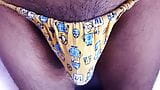 Mes pénis tentent dans une culotte sexy snapshot 2
