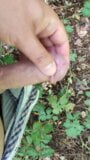 Masturbation near the road snapshot 3