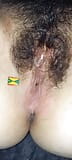 Grenada Saint Georges - hairy snapshot 2