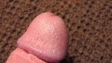 Cockhead closeup with foreskin snapshot 1