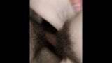 oral seks üzerinde balkon Siktir et ve Cum içinde ağız snapshot 8