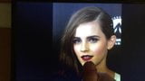 Tribute Emma Watson 2 snapshot 1