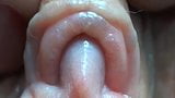 Clitoris close-up snapshot 2