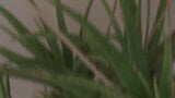 欲求不満でかっこいいアメリカ人ティーン（18歳以上）の濡れたマンコが大きな白いペニスで拡張される snapshot 1