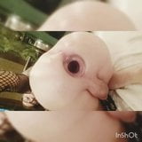 Anal gape besar kaca besar tapi plug snapshot 9