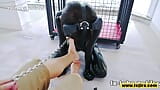 Fejira com - une adolescente en latex se fait fesser comme un chien snapshot 4