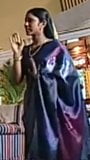 Satin-Sari snapshot 4