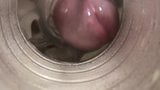 Fleshlight vluggertje 7 snapshot 5