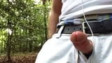 Jerking off and cumming & Gay cruising at the park snapshot 4