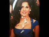 Salma Hayek snapshot 10