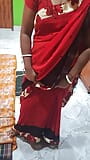 Une bhabhi indienne en sari couche avec son copain snapshot 1
