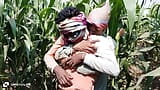 Trio indien gay - un ouvrier de ferme et un fermier qui emploie l’ouvrier baisent dans un champ de maïs - film gay avec audio en hindi snapshot 7