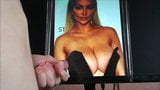 Lindsey Pelas Big Tits Cum Tribute 2 snapshot 2