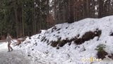 Kurviges Schätzchen beim Pissen im Schnee gefilmt snapshot 10