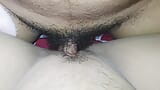 Asiatică păroasă se masturbează în baie snapshot 2