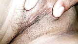 Indiana buceta branca, buceta da dona de casa é cremosa e testy snapshot 8